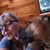 Patti Deschaine's profile image