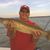 Doug McClure's profile image
