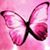 Irene Roesler's profile image