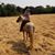 Jodi Tuft's profile image