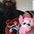 Kevin Keele's profile image