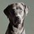 Astrid Keller-Garbe's profile image
