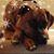 Leann Wilson's profile image