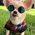 Brandy Wilhelm's profile image