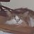 JoAnne DeGroff's profile image