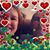 Marianne Dob McIntyre's profile image