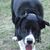Maryanne T Murdy's profile image