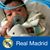 Alain Rojas's profile image