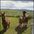 Arlene G. Lehman Baldwin's profile image