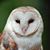 Jacquelyn Terry's profile image
