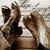 Claudia Quilo's profile image