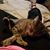 Jolene Bowles's profile image
