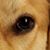 John Provins's profile image