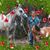 Jana Alford's profile image