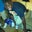 Andre Jackson's profile image