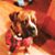 Bruce Hausinger's profile image
