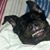 Doris Willingham's profile image