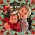 Jacki Amstutz's profile image