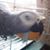 Chrissy Derouin Comet's profile image