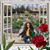 Georgina Adauto's profile image