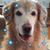 Mia Furno Hill's profile image