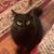 Marie Weakland's profile image