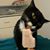 Denise Glisson's profile image