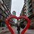 Candice L Higuera-Sumrow's profile image