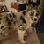 Michelle Lori Gray's profile image