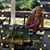 Lori Hunt's profile image