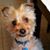Anna May Morgo Palmieri's profile image