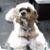 Kelly Gardner's profile image