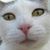 Diann Pavelka's profile image