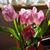 Shelley Valgardson Burnett's profile image