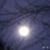 Anne DeAngelis Smith's profile image