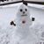 Michelle Grenier Thomas's profile image