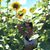 Maddie Leeker's profile image