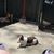 Stacy Ann Beckley's profile image
