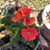 Diann Garcia's profile image