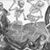 Jennifer L Baum's profile image
