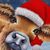 Tonda Butler Myers's profile image