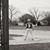 James Galindo's profile image