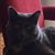 Kitty Stange's profile image