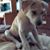 Bk Sawyer's profile image