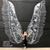 Kelly Crist's profile image