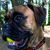 Tim Clark's profile image