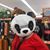 Fran Goscinski Timothy's profile image