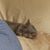 Tabitha Leah's profile image