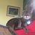 Eleanor StJulien Childs's profile image