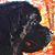 Don Wheat's profile image